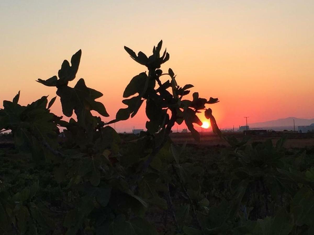 Siskosplace Koloumpos Bagian luar foto